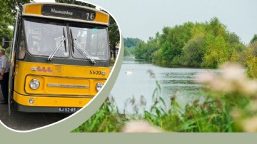 Historische bustoer Friesland